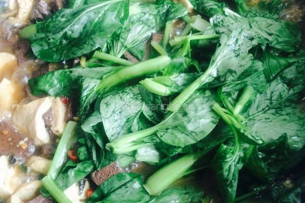 鸭血豆腐的做法图解10