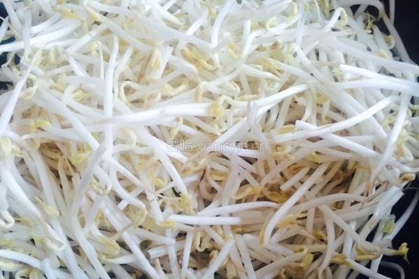 清炒绿豆芽的做法图解4