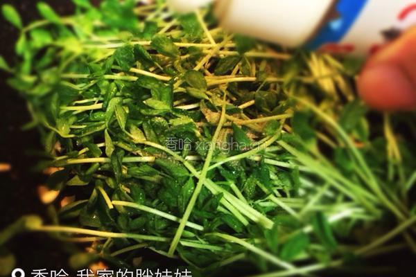 蒜香豆苗的做法图解5