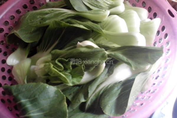 冬茹拌上海青的做法图解1