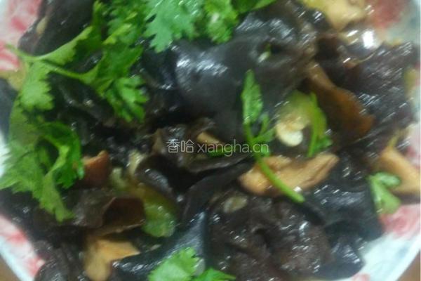 木耳炒丝瓜的做法图解5