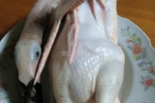 啤酒鸭的做法图解1