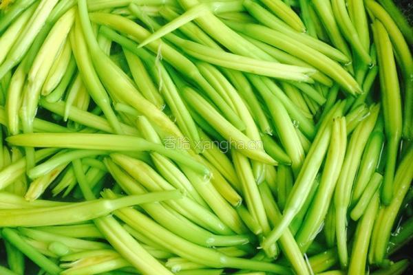 凉拌黄花菜的做法图解2