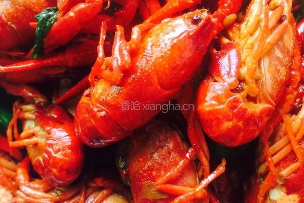 麻辣小龙虾的做法图解8