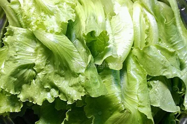 蚝油玻璃菜的做法图解1