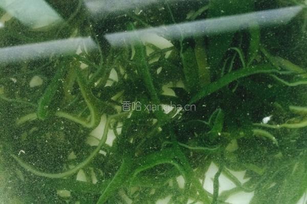 海带丝瓜蛋汤的做法图解2
