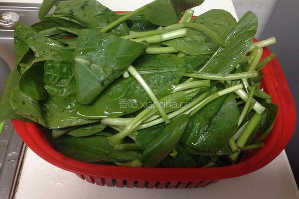 香菇广心菜的做法图解2