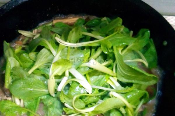 简单家庭烩菜的做法图解7