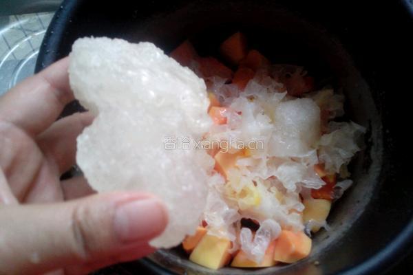 木瓜雪耳糖水的做法图解3