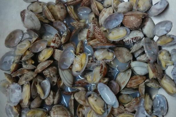 海鲜蛤蜊馄饨的做法图解2