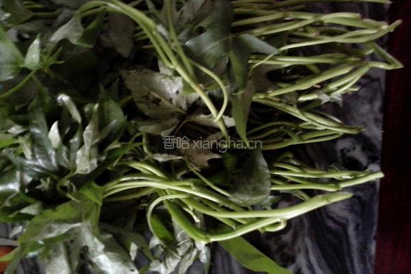 蒜蓉炒蕃薯苗的做法图解1