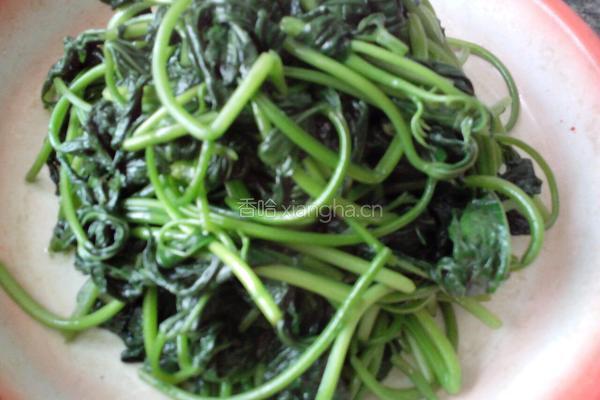 蒜蓉炒蕃薯苗的做法图解7