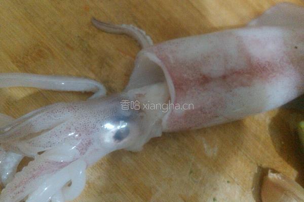 西兰花炒鲜鱿的做法图解2