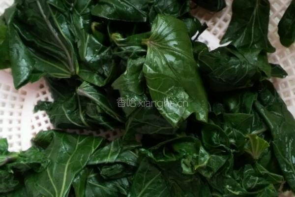 凉拌红薯叶的做法图解4