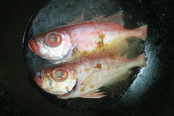冬菜焖大眼鸡鱼的做法图解4