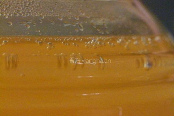 苹果酒的做法图解9
