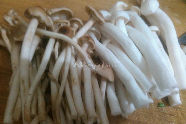 双菇扒生菜的做法图解2