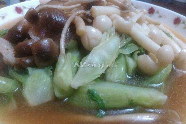 双菇扒生菜的做法图解5