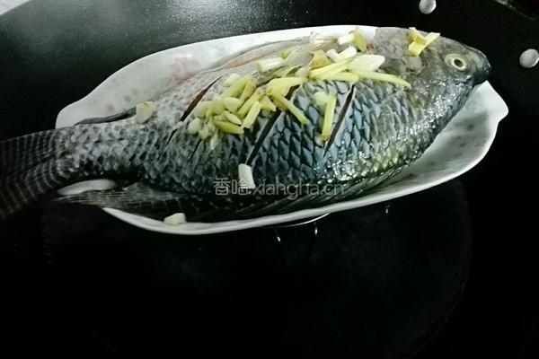 清蒸非洲鲫鱼的做法图解4