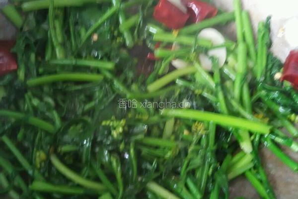 青炒油菜苔的做法图解2
