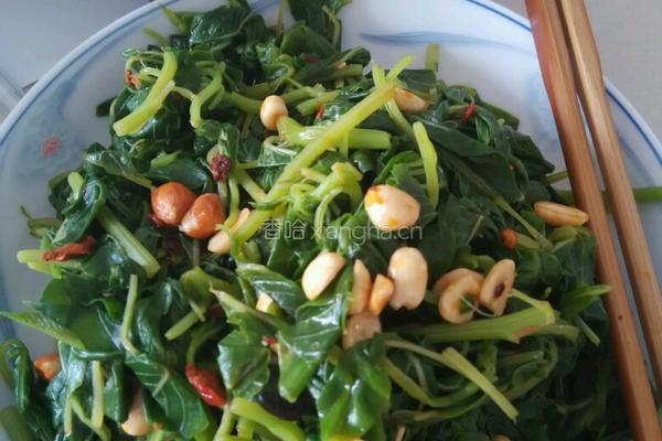 凉拌小米菜的做法图解4