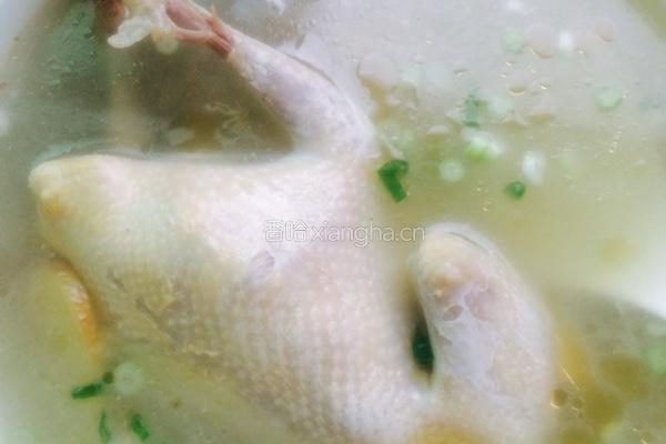 鸽子蘑菇汤的做法图解5