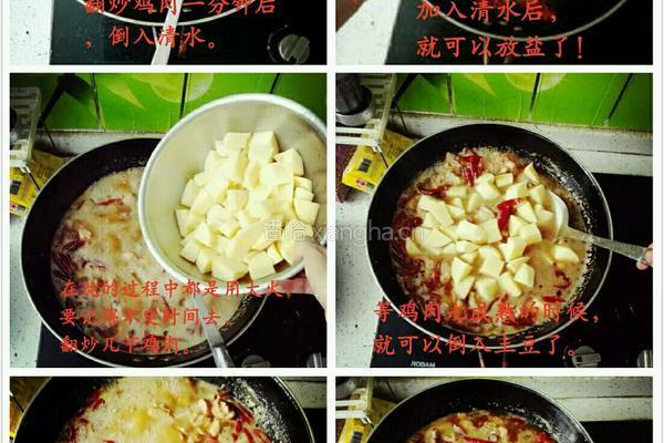 正宗赵家大盘鸡的做法图解4