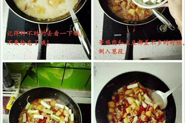 正宗赵家大盘鸡的做法图解5