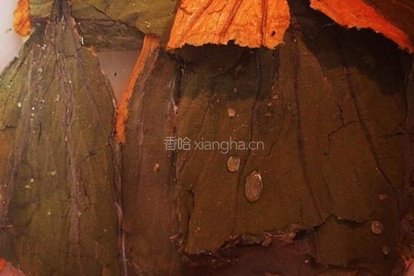 荷叶粥的做法图解3