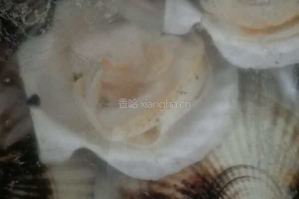 蒜蓉粉丝扇贝的做法图解1