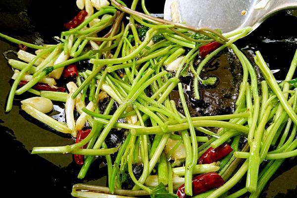 火爆红薯尖的做法图解5
