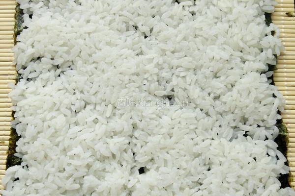金枪鱼寿司的做法图解4