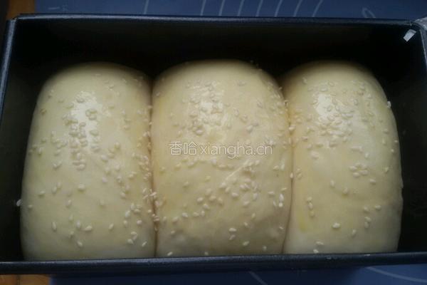 卡仕达小餐包的做法图解15