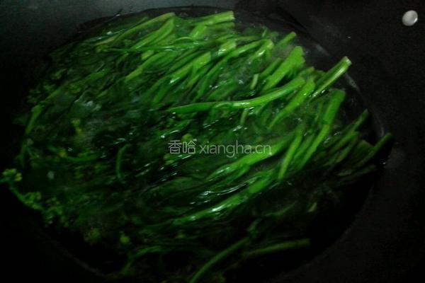 蒜蓉菜心的做法图解4
