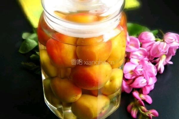 杏子酒的做法图解4