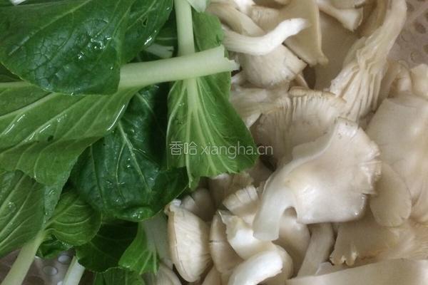 平菇肉片小炒的做法图解2