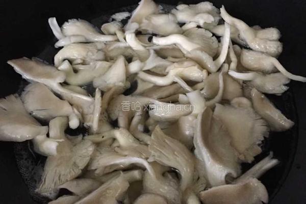 平菇肉片小炒的做法图解3