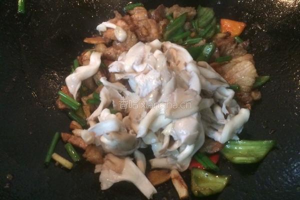 平菇肉片小炒的做法图解7