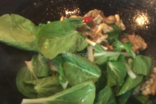 平菇肉片小炒的做法图解8