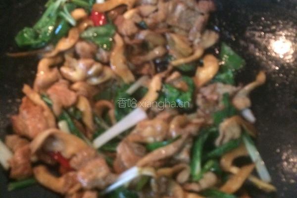 平菇肉片小炒的做法图解9