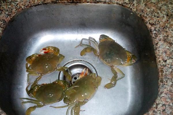 水煮青蟹的做法图解1