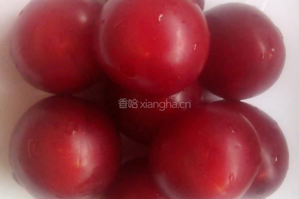 自制梅子酒的做法图解1