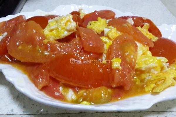 西红柿炒蛋的做法图解7