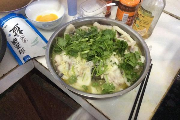 酸菜鱼的做法图解9