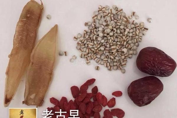 金龙鱼胶炖枸杞穗米红枣的做法图解2