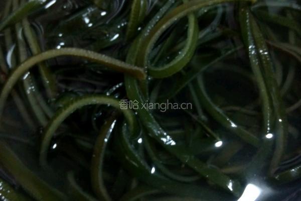红油蒜泥海带丝的做法图解3