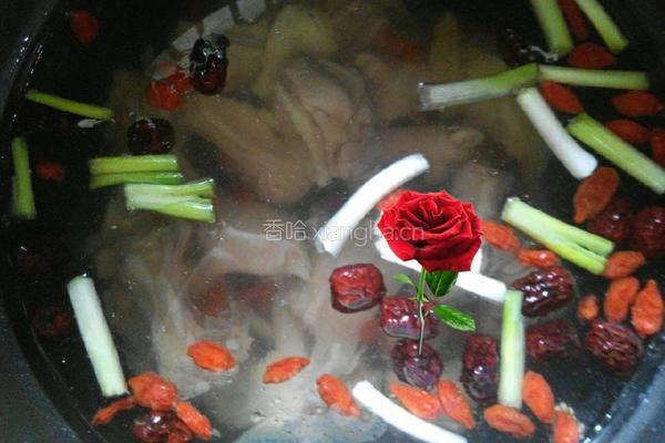 当归鸡肉汤的做法图解8