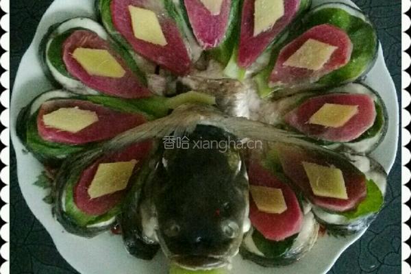孔雀开屏的做法图解6