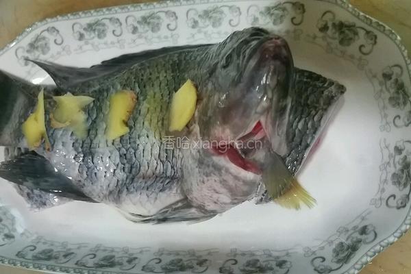 清蒸苏眉的做法图解2