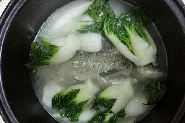 鲫鱼小白菜汤的做法图解4